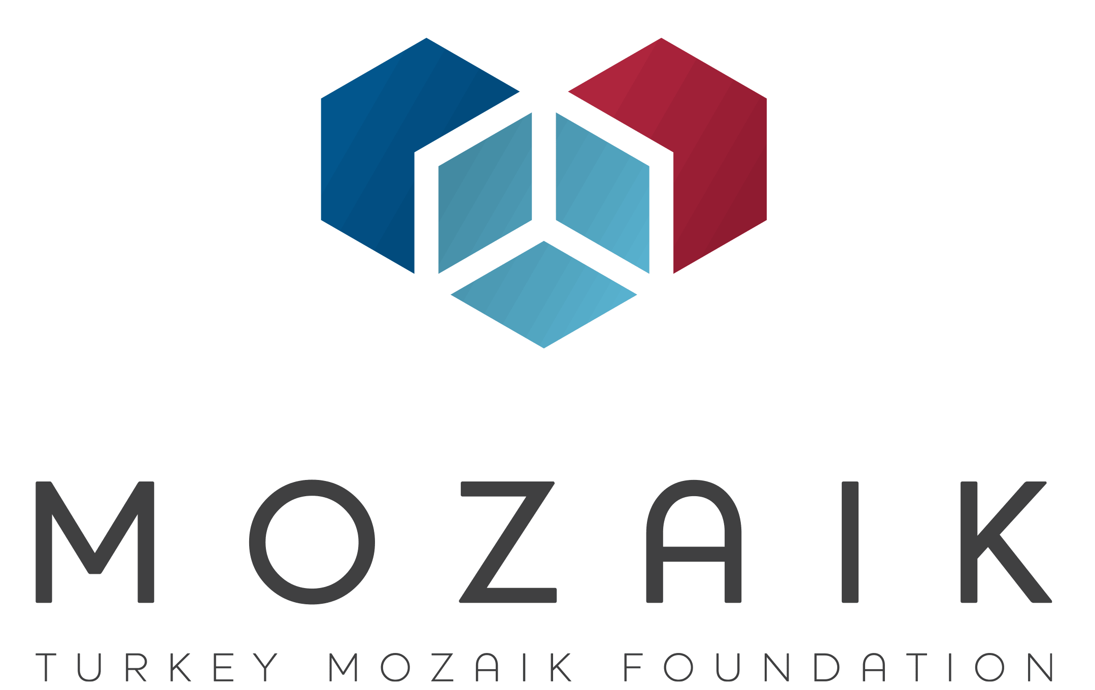 Mozaik koyu logo – Açık renkli zeminde kullanım için