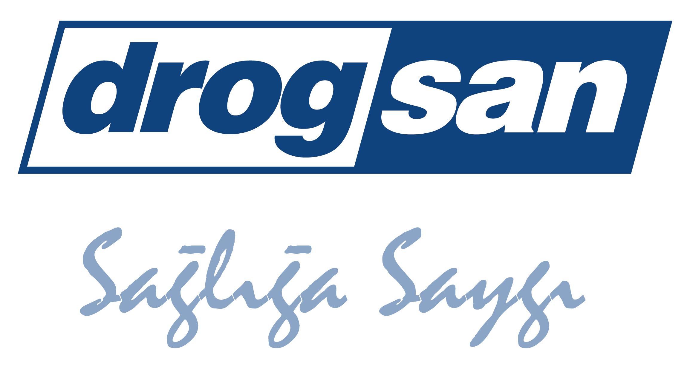 Drogsan Logo v2